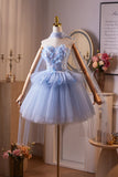 Beading Butterfly Blue Flower Homecoming Dress With Shawl