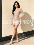 Elegant Champagne Long Sleeve Column Sheath Homecoming Dress