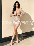 Elegant Champagne Long Sleeve Column Sheath Homecoming Dress
