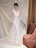 Trumpet Mermaid Simple V Neck Lace Wedding Dress