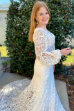 Off White Tulle Mermaid V Neck  Long Sleeve Wedding Dress