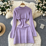 Matching Top Lilac Knit Dress