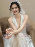 Champagne Lace A Line V Neck Tulle Wedding Dress