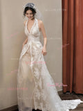 Champagne Lace A Line V Neck Tulle Wedding Dress
