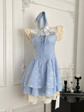 Vintage Inspired Blue Check Dress with Hood