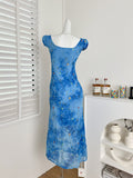 Lace Trimmed Bodice Starry V Neck Blue Dress
