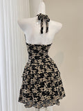 Modern Touch Timeless Black Cream Lace Dress