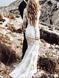 Champagne Trumpet Mermaid Lace Long Sleeve Wedding Dress