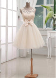 Chic Lace & Satin & Tulle Bateau Neckline Short A-line Homecoming Dress 
