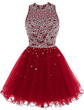 Short Prom Dresses A Line High Neck Tulle Homecoming Dresses