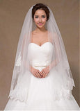 Gorgeoust Tulle Wedding Veil With Sequins Lace & Comb