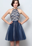 Fantastic Tulle Halter Neckline A-Line Short Homecoming Dresses With Lace Appliques