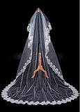 Gorgeous Tulle & Lace One Layer White Long Wedding Bridal Veil