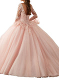 Long Sleeve Lace Quinceanera Dresses Train V-Neck Ball Gown