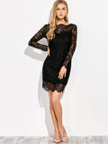 Sexy V Back Lace Dress With Sleeves