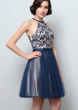 Fantastic Tulle Halter Neckline A-Line Short Homecoming Dresses With Lace Appliques