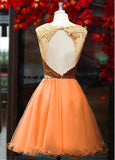 Graceful Tulle & Sequin Lace Jewel Neckline A-Line Homecoming Dresses With Lace Appliques