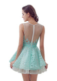 Elegant Tulle & Lace Jewel Neckline A-line Short Homecoming Dresses With Lace Appliques