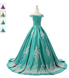 Ball Gown Appliques Quinceanera Prom Dresses