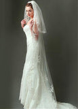 Amazing Tulle Wedding Veil With Lace Appliques