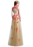 Romantic Tulle Queen Anne Neckline Cut-out Floor-length A-line Prom Dresses With Pockets