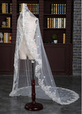Marvelous Tulle Cathedral Wedding Veil With Lace Appliques
