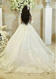 Lace Appliques Tulle Bateau Long Sleeve Ball Gown Wedding Dress 
