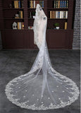 Marvelous Tulle Cathedral Wedding Veil With Lace Appliques