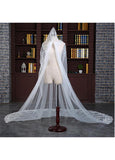 Charming Tulle Cathedral Wedding Veil With Lace Appliques