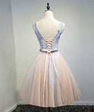 Blue Pink V Neck Tulle Lace Applique Short Prom Homecoming Dress