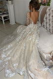 See Through Long Sleeve Lace Appliques V-Neck Open Back Wedding Dress